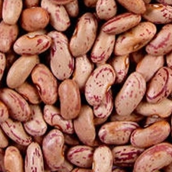 Rajma - 500