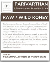 RAW WILD HONEY  - Brown