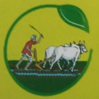 NAVEEN GRAMEE NATURALS - Logo