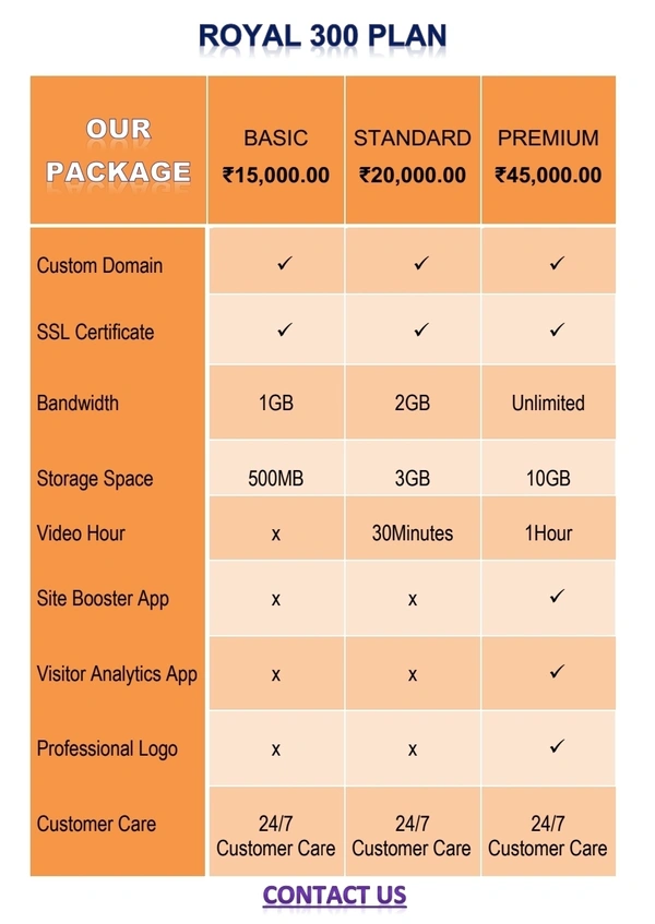 Google  Website Developor  - www.royal300.com , website starting from 15000