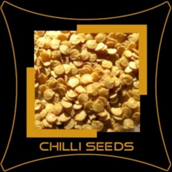 Mirchi Seeds : మిరప ఇత్తులు:packet  - 