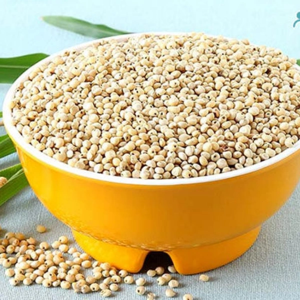 Paccha Jonnalu : పచ్చ జొన్నలు 