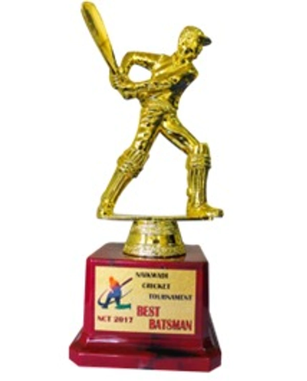 Wood, Metal, Fiber Awards and Trophies - 7, 8, 9 inches, Bangalore 24 hrs up to 72 hours / Other Cities 4 to 7 days.