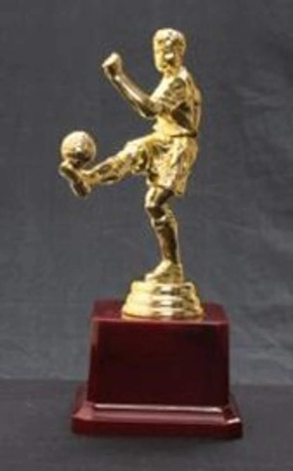 Wood Metal Fiber Awards and Trophies - 7 Inches, Bangalore 24 hrs up to 72 hours / Other Cities 4 to 7 days.