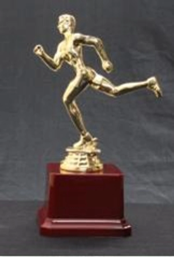 Wood Metal Fiber Awards and Trophies - 7 Inches, Bangalore 24 hrs up to 72 hours / Other Cities 4 to 7 days.