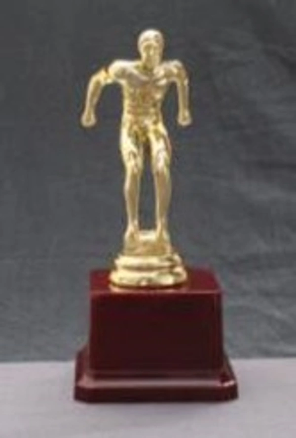 Wood Metal Fiber Awards and Trophies - 7 Inches, Bangalore 24 hrs up to 72 hours / Other Cities 4 to 7 days.