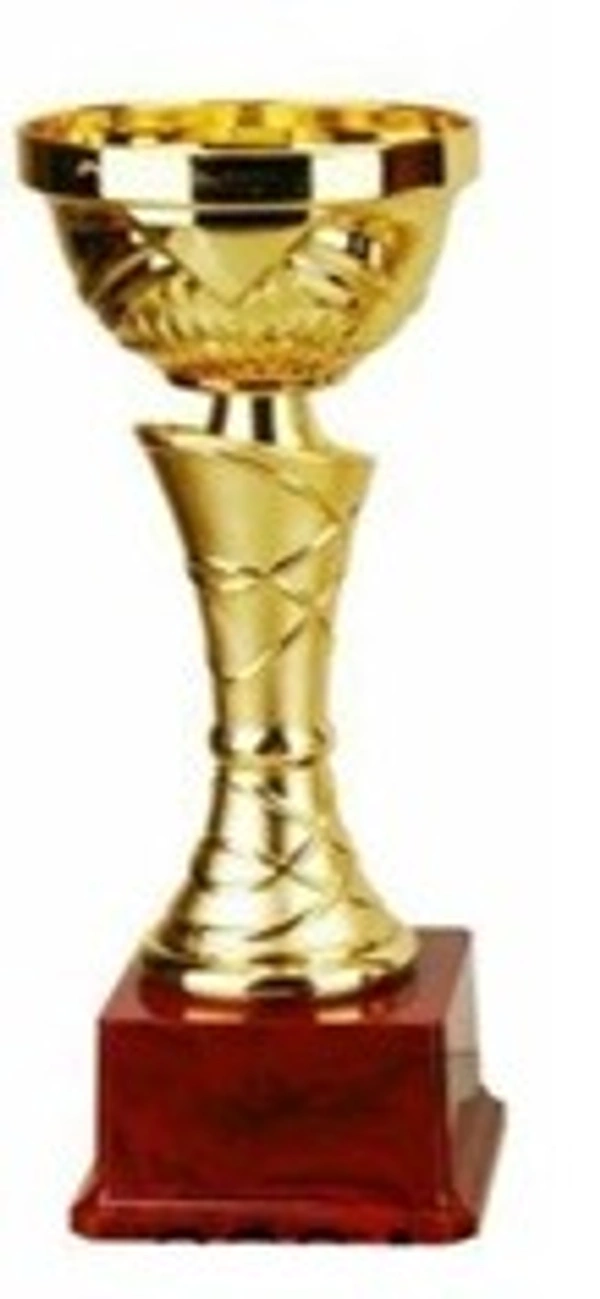 FB470  Wood Metal Fiber Trophies   - Bangalore 24 hrs up to 72 hours / Other Cities 4 to 7 days.
