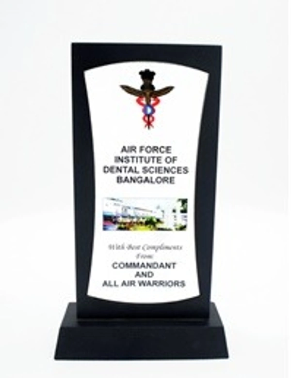 V407 Wood Trophies  - Bangalore 24 hrs up to 72 hours / Other Cities 4 to 7 days., SBG