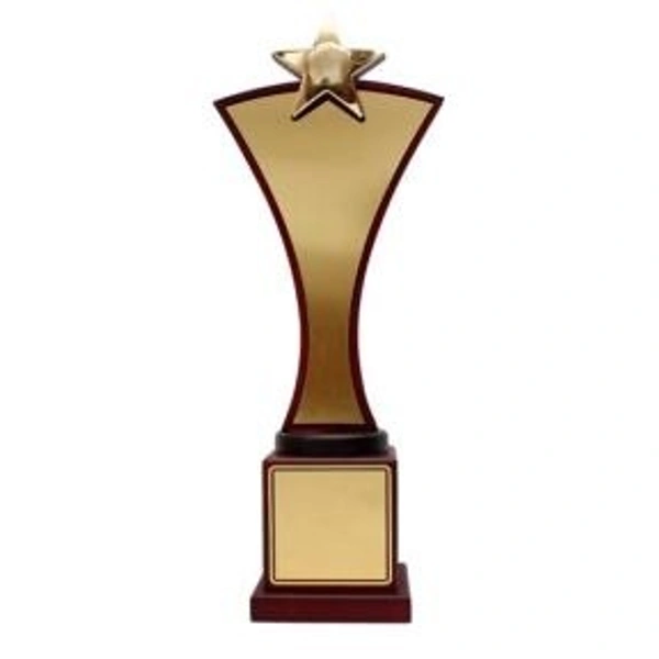 5149 Wood Metal Trophies   - Bangalore 24 hrs up to 72 hours / Other Cities 4 to 7 days., SBG