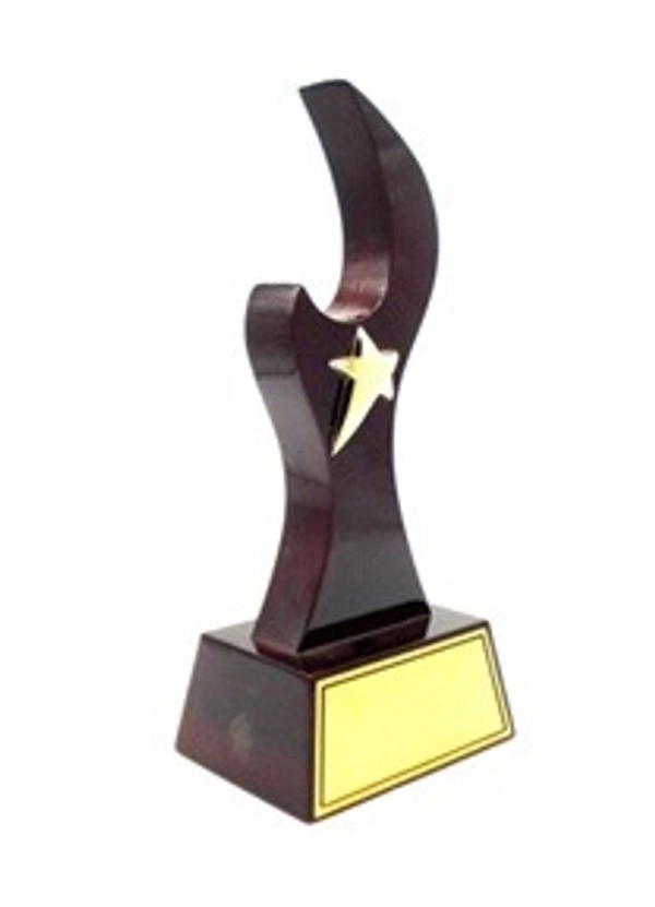 5136 Wood Metal Trophies  - Bangalore 24 hrs up to 72 hours / Other Cities 4 to 7 days., SBG