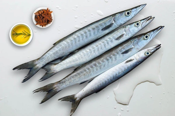 Thinda Fish ( തിണ്ട ) - 1 Kg