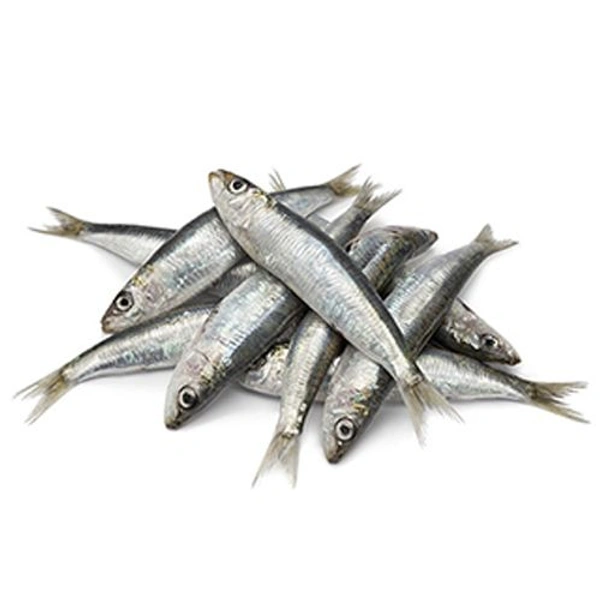 Mathi Fish ( മത്തി ) - 1 Kg