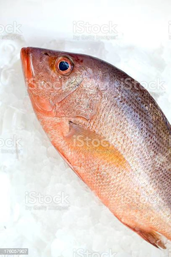Silk Chemballi Fish ( സിൽക്ക് ചെമ്പല്ലി ) - 1 Kg
