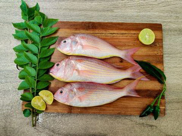 Kilimeen Fish ( കിളിമീൻ ) - 1 Kg