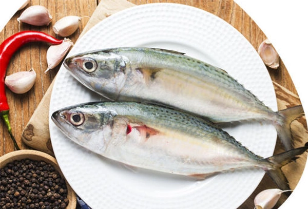 Ayala Fish ( അയല ) - 1 Kg