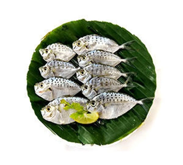 Mullan Fish ( മുള്ളൻ ) - 1 Kg