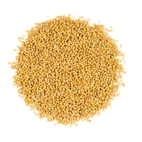 সাদা সরষে - 250 gm