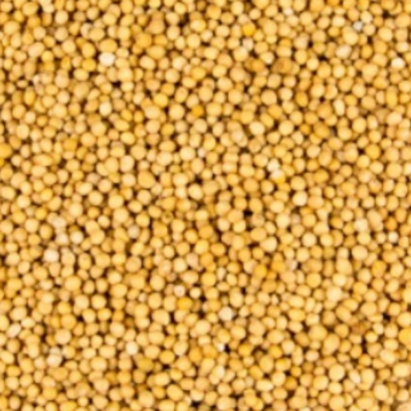 সাদা সরষে - 250 gm
