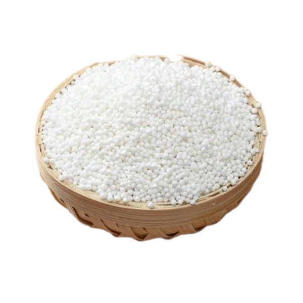 সাবু দানা  - 500 gm