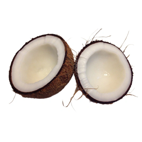 Coconut (নারকেল)  - 1 Piece