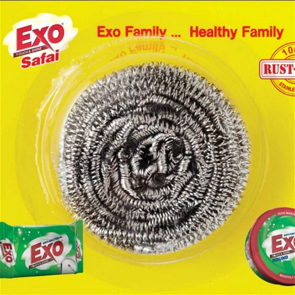 Exo Safai ( মাজন /স্টিল উল )  - 1 Pieces