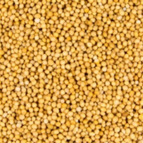 সাদা সরষে - 100 gm
