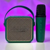 First Time In India | Heavy Bass Portable Bluetooth Speaker With Wireless Mic | Ultra Clear Sound Quality (Pack of 1) - 1 Month Cybzone Warranty, Green