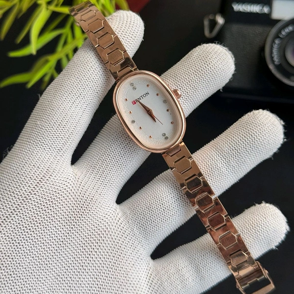 Fenton Analog Quartz Movement Watch With High Quality Strap Best finishing Body & Case - SRF2