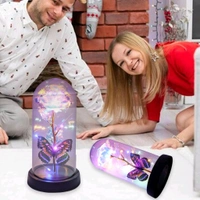 LED Light-Up Eternal Rose with Butterfly in Transparent Dome – Romantic Decorative Glass Dome Flower with Fairy Lights – Ideal Gift for Valentine’s Day, Anniversaries & Home Décor 3 AAA Battery Operated