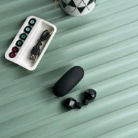 TWS True Wireless Stereo Earbuds with Charging Case – Bluetooth Earphones for iOS & Android | Touch Control | 8-Hour Playtime | 500mAh Battery - 1 Month Cybzone Warranty