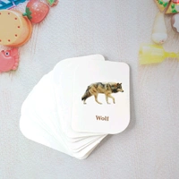 Kidkraft 32-Piece Animal Flash Cards Set for Toddlers and Kids – Early Learning Educational Flashcards with Realistic Animal Images for Pre-School, Home, and Classroom Use