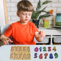 Wooden Puzzle Learning Educational Board of Number | Different Number Shape Puzzle Boards and Gift for Toddlers & Kids Puzzle for Early Childhood Development
