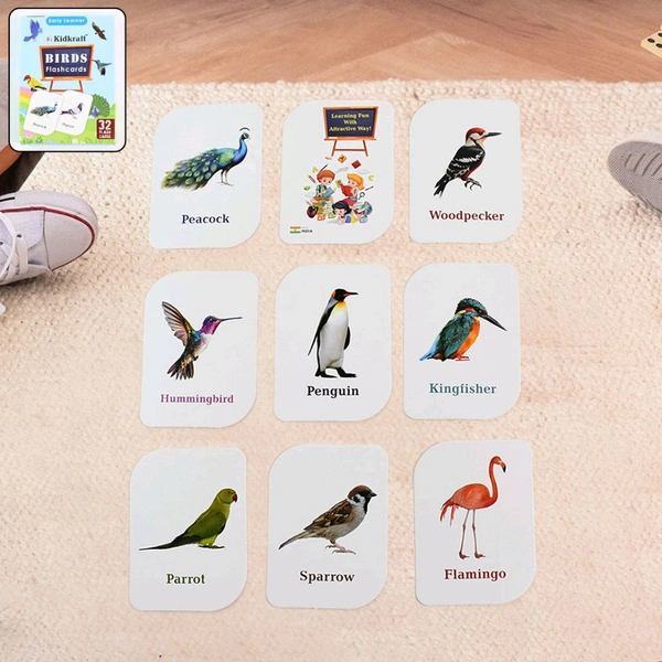 KidKraft Early Learner Educational Flashcards – 32 Birds Identification Cards for Toddlers & Kids | Realistic Images with Names | Montessori Learning Aid for Preschool & Kindergarten