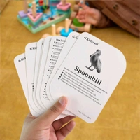 KidKraft Early Learner Educational Flashcards – 32 Birds Identification Cards for Toddlers & Kids | Realistic Images with Names | Montessori Learning Aid for Preschool & Kindergarten