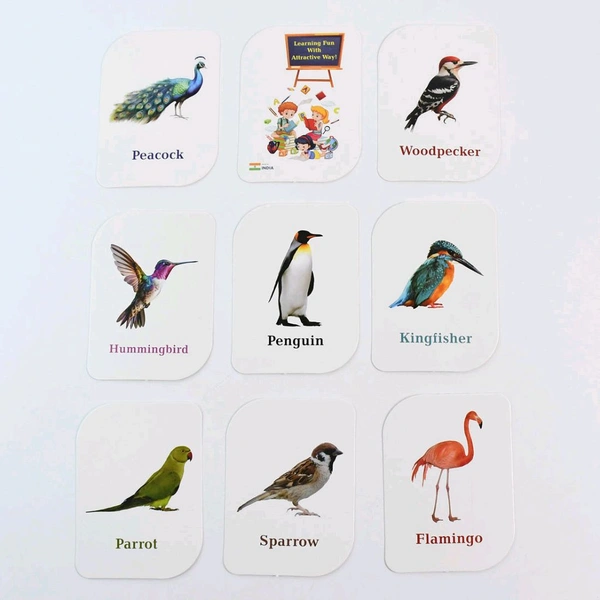 KidKraft Early Learner Educational Flashcards – 32 Birds Identification Cards for Toddlers & Kids | Realistic Images with Names | Montessori Learning Aid for Preschool & Kindergarten