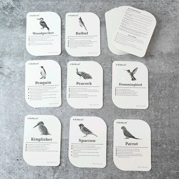 KidKraft Early Learner Educational Flashcards – 32 Birds Identification Cards for Toddlers & Kids | Realistic Images with Names | Montessori Learning Aid for Preschool & Kindergarten