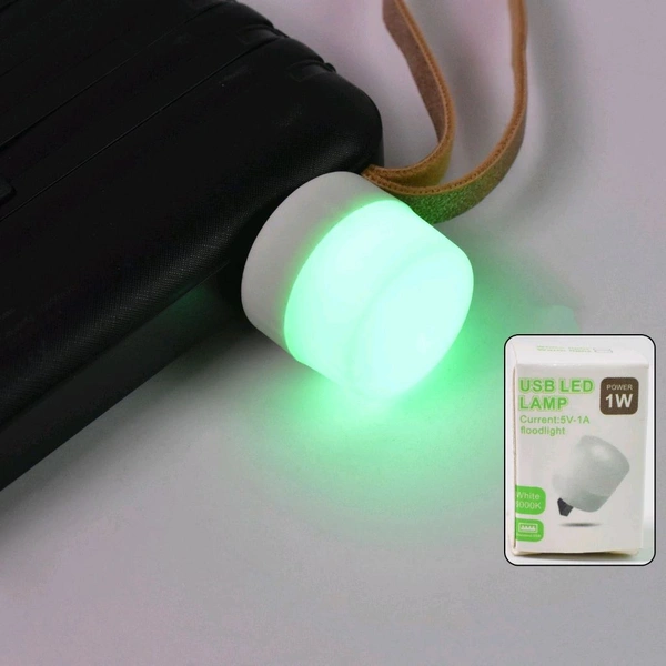 USB LED LAMP Night Light, Plug in Small Led Nightlight Mini Portable for PC and Laptop (5 Pcs / Mix Color)
