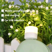 USB LED LAMP Night Light, Plug in Small Led Nightlight Mini Portable for PC and Laptop (5 Pcs / Mix Color)
