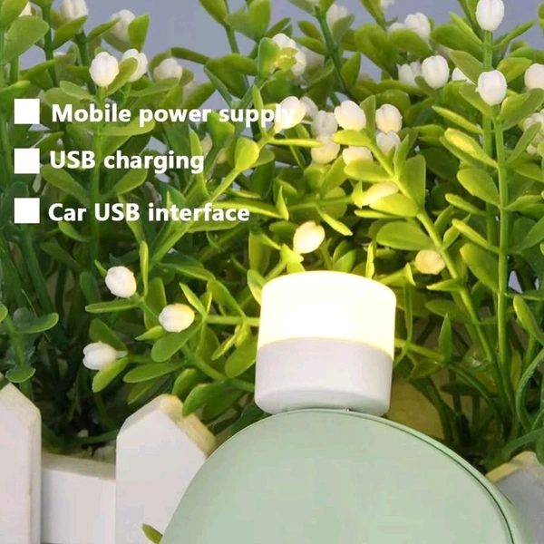 USB LED LAMP Night Light, Plug in Small Led Nightlight Mini Portable for PC and Laptop (5 Pcs / Mix Color)
