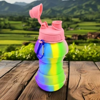 Flexible Collapsible Silicone Sports, Trekking, Cycling, Gym, School Water Bottle Expandable And Foldable With Snap Hook 