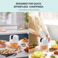 Wireless USB Rechargeable Mini Electric Garlic Machine / Chopper, Food Processor For Garlic, Ginger, Onion, Vegetable, Meat, Nuts Stainless Steel 3 Blades (250 Ml) 
