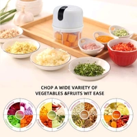 Wireless USB Rechargeable Mini Electric Garlic Machine / Chopper, Food Processor For Garlic, Ginger, Onion, Vegetable, Meat, Nuts Stainless Steel 3 Blades (250 Ml) 
