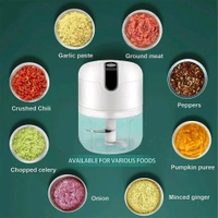 Wireless USB Rechargeable Mini Electric Garlic Machine / Chopper, Food Processor For Garlic, Ginger, Onion, Vegetable, Meat, Nuts Stainless Steel 3 Blades (250 Ml) 
