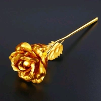 Golden Rose & Necklace Set, Perfect Gift Set 
