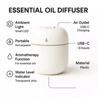 Portable Lighting Mini Humidifier, USB Personal Desktop Air Humidifier for Baby Bedroom Travel Office Home with Light, Cool Mist Humidifier, Essential Oil Diffusers, Cool Mist Humidifiers