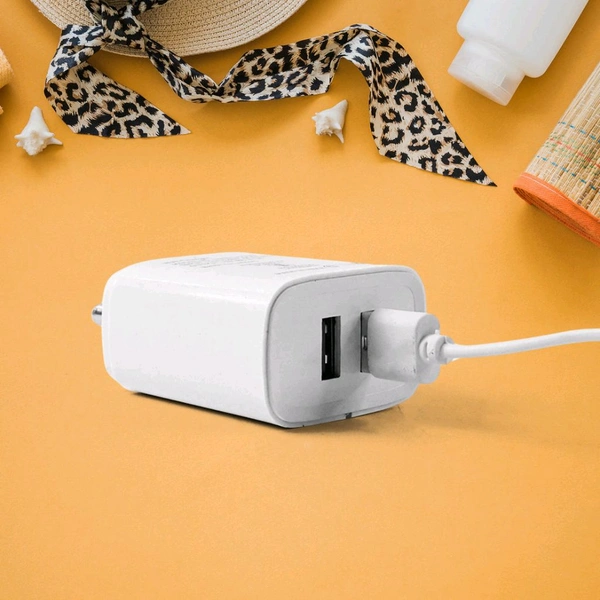 iBall Dual USB Wall Charger 5V/3.1A – High-Speed Dual Port Fast Charging Adapter for Smartphones, Tablets & USB Devices – Compact Travel-Friendly Power Adapter (1 Pc)