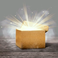 Premium Cybzone Product Lucky, Values 2500 Lucky Box