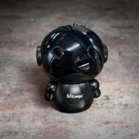 Hitage Robo 8W Bluetooth Speaker with RGB Lights, TWS, FM & USB Support
