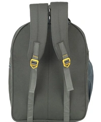  Backpacks (BAG) - Free Size, Gray