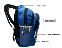 SAFARI 32 Ltrs Blue Casual/School/College Backpack  - Blue, Free Size
